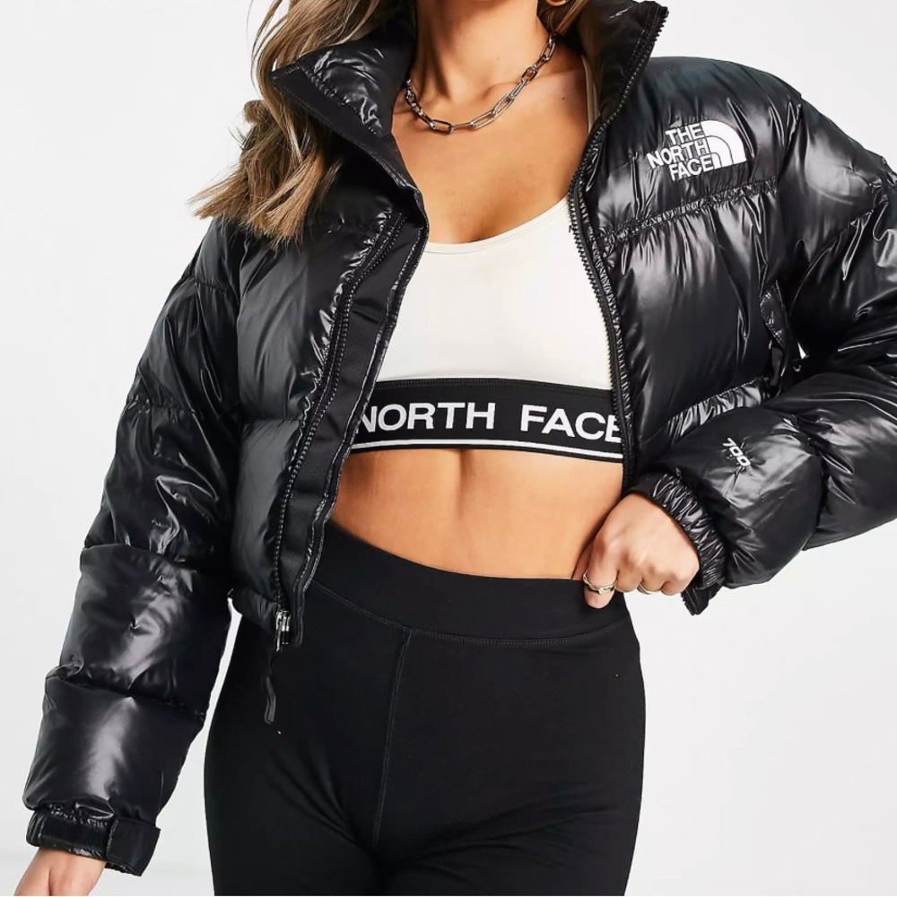 TNF NUPTSE 700 cropped PUFFER